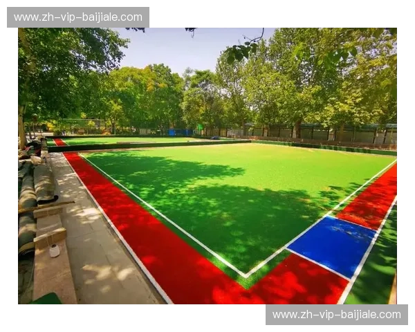 篮球入口地址——开启你的专属球场之门